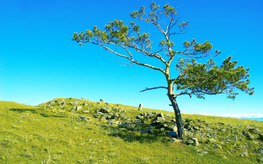 928548 (a): :2880x1800